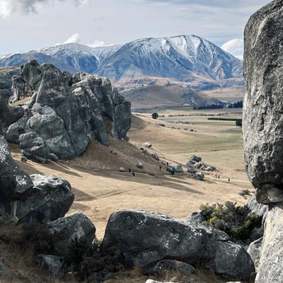 nz city- exchange student in New Zealand