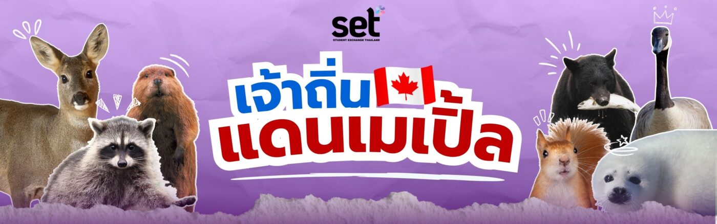 แคนาดา