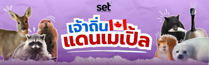 แคนาดา