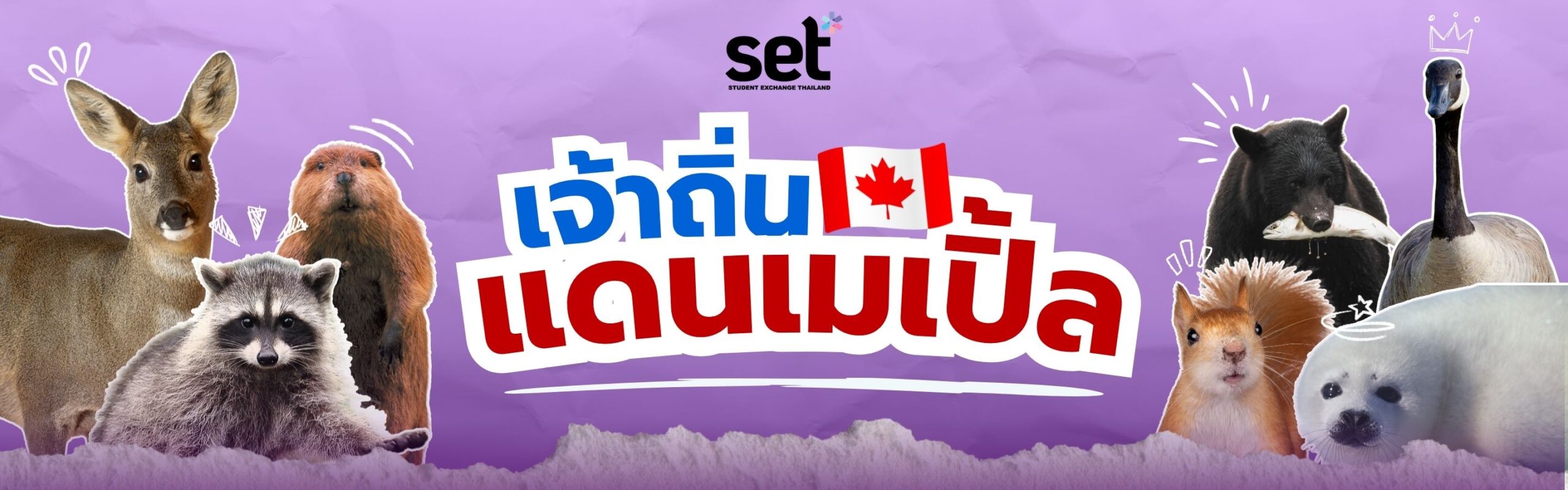 แคนาดา