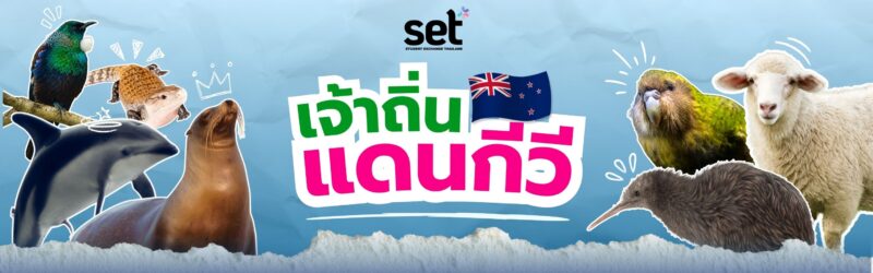 นิวซีแลนด์